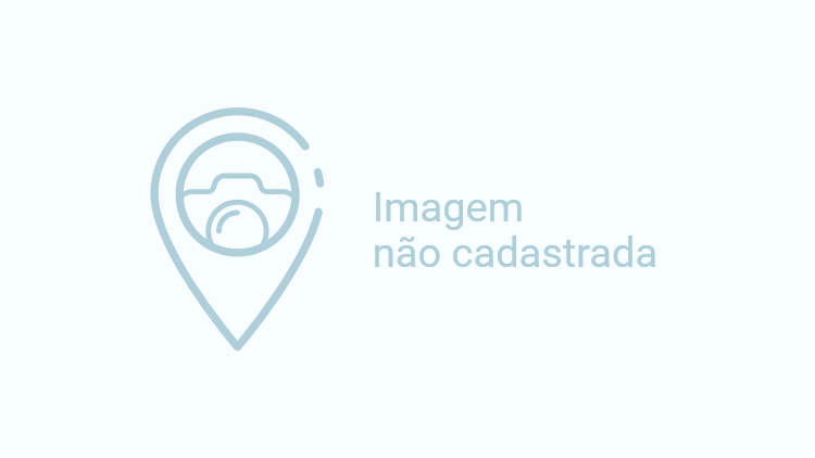 Natal de Joinville | 15 de novembro de 2025 a 4 de janeiro de 2026